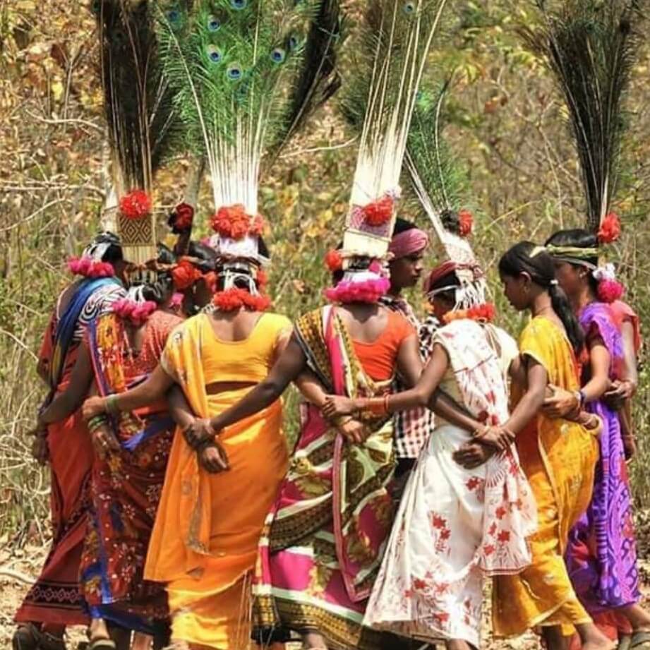 About langscape magazine gawade feature