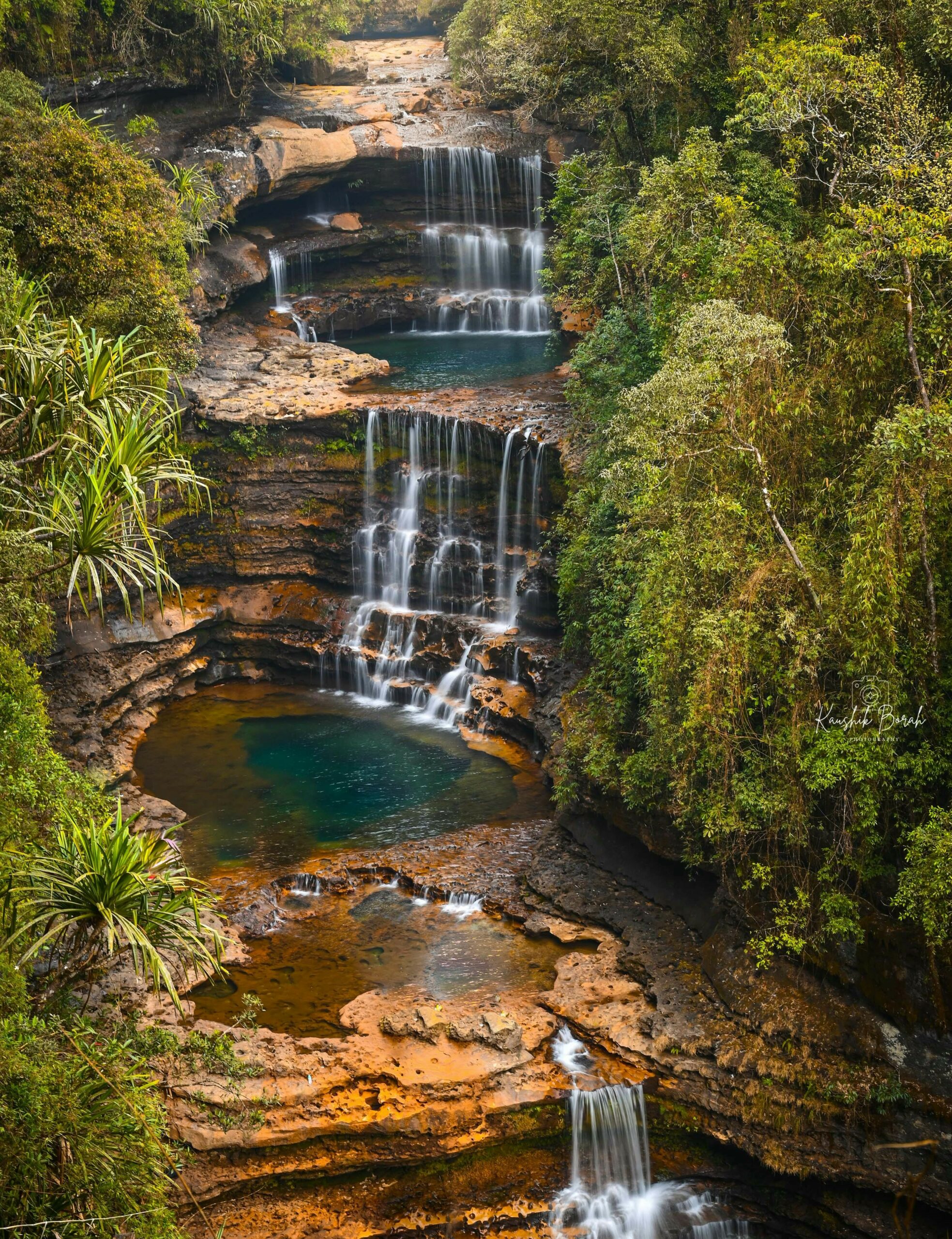 pexels kaushik borah 2927904 10410759