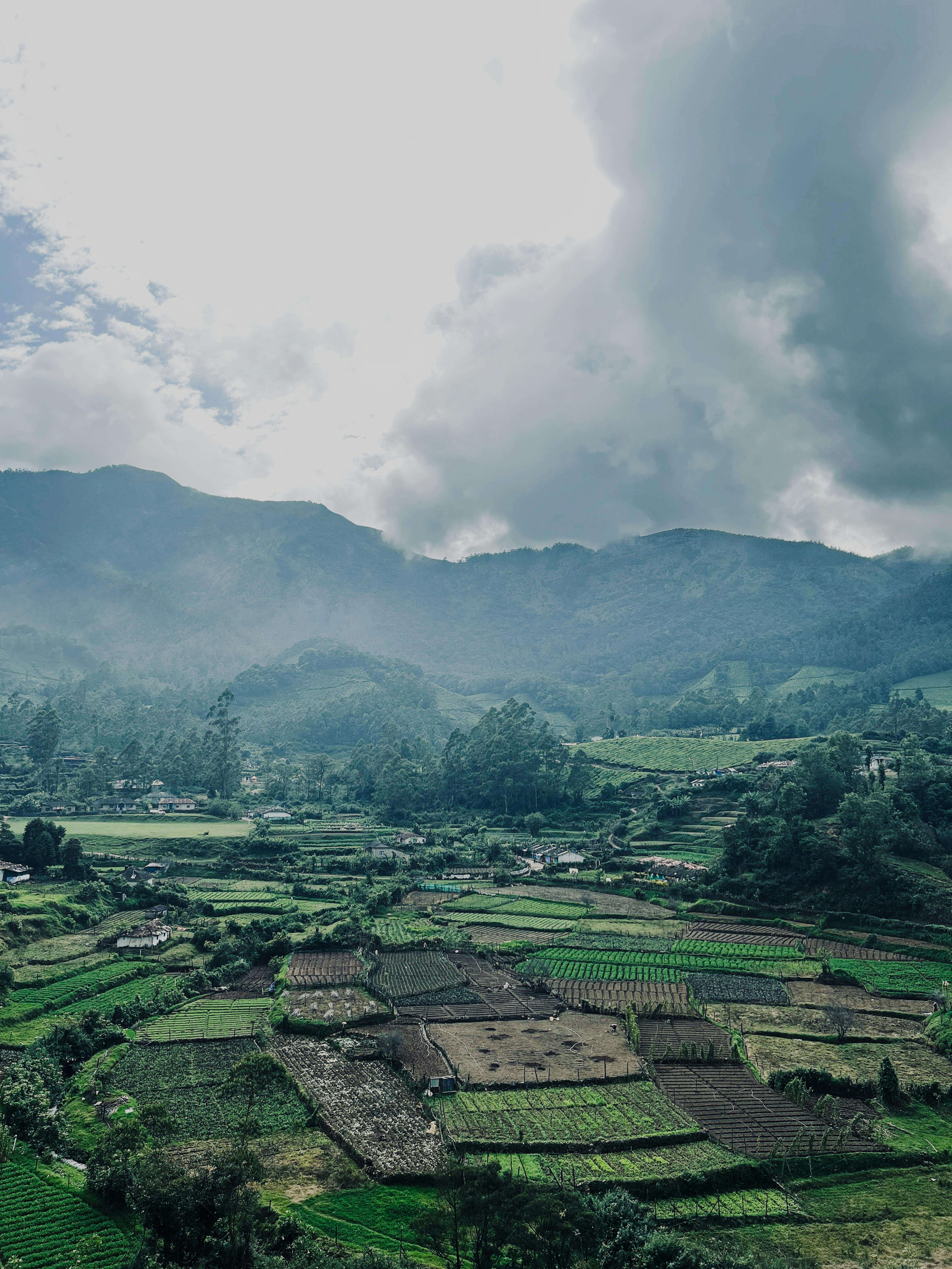 pexels saluuuuuuuh 2150418287 32521580