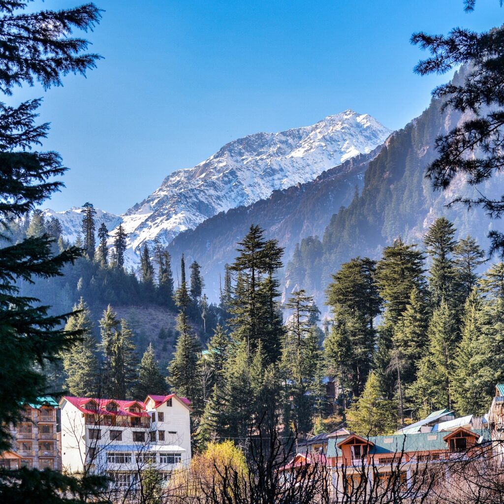 mountain, snow, panoramic, nature, mountain peak, travel, landscape, panorama, sky, scenic, wood, valley, outdoors, glacier, ice, rock, majestic, high, hike, trek, himalayas, manali, mountains, mountain landscape, mountain hiking, hiking, mountain peaks, alpine, distant view, fog, meadow, mood, holiday, romantic, recovery, mountaineering, mountain tour, away, mountain walker, blue sky, winter, cold, coniferous forest, tree, wintry, snowy, clouds, blue, winter magic, green