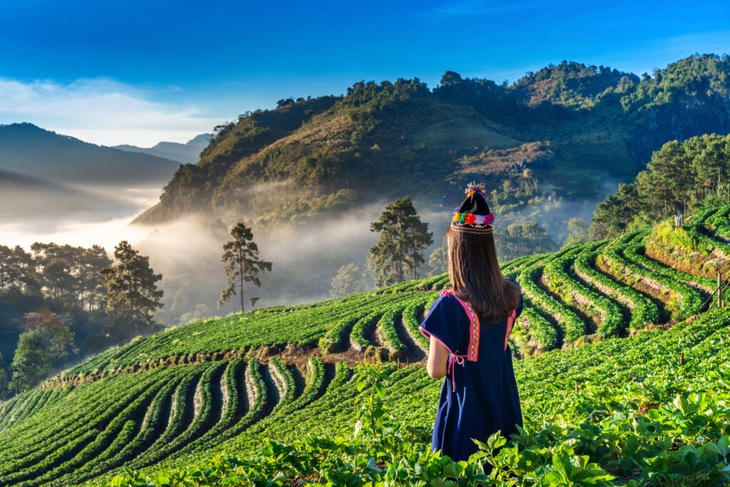 Ranikhet Woman Wearing Hill Tribe Dress Strawberry Garden Doi Ang Khang Chiang Mai Thailand 1024x683